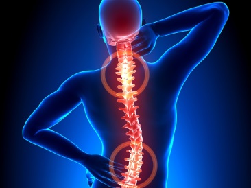 univer_bolvspine1